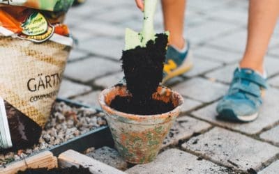 Include Edibles in your Landscape Plans