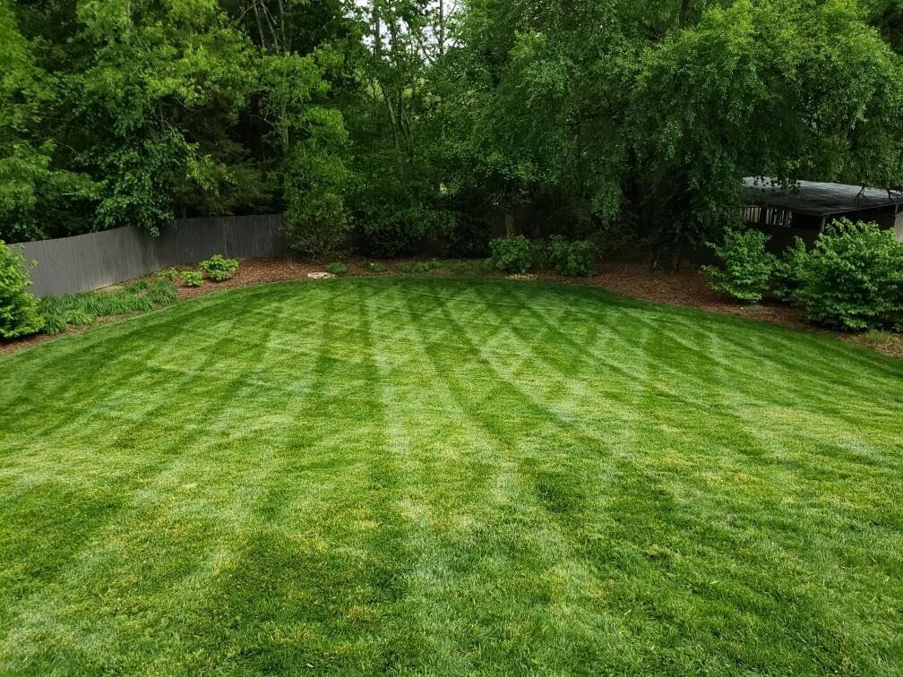 lawn maintenance