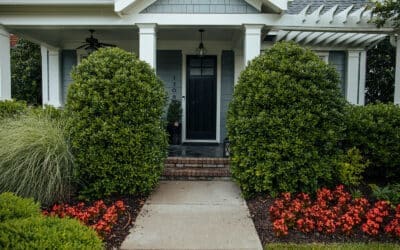 Project Spotlight: Small Footprint, Big Impact