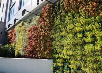 Commercial Landscaping