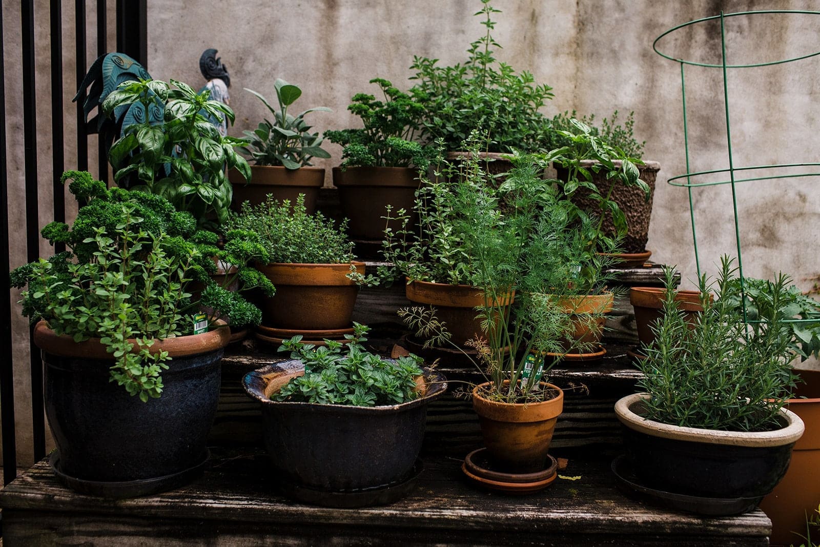 pots of different sizes