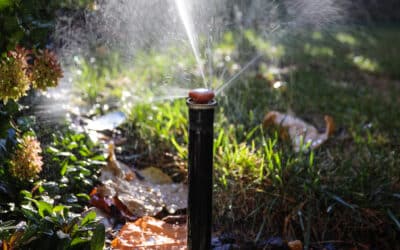 Irrigation: The Secret to a Lush Landscape & Lawn