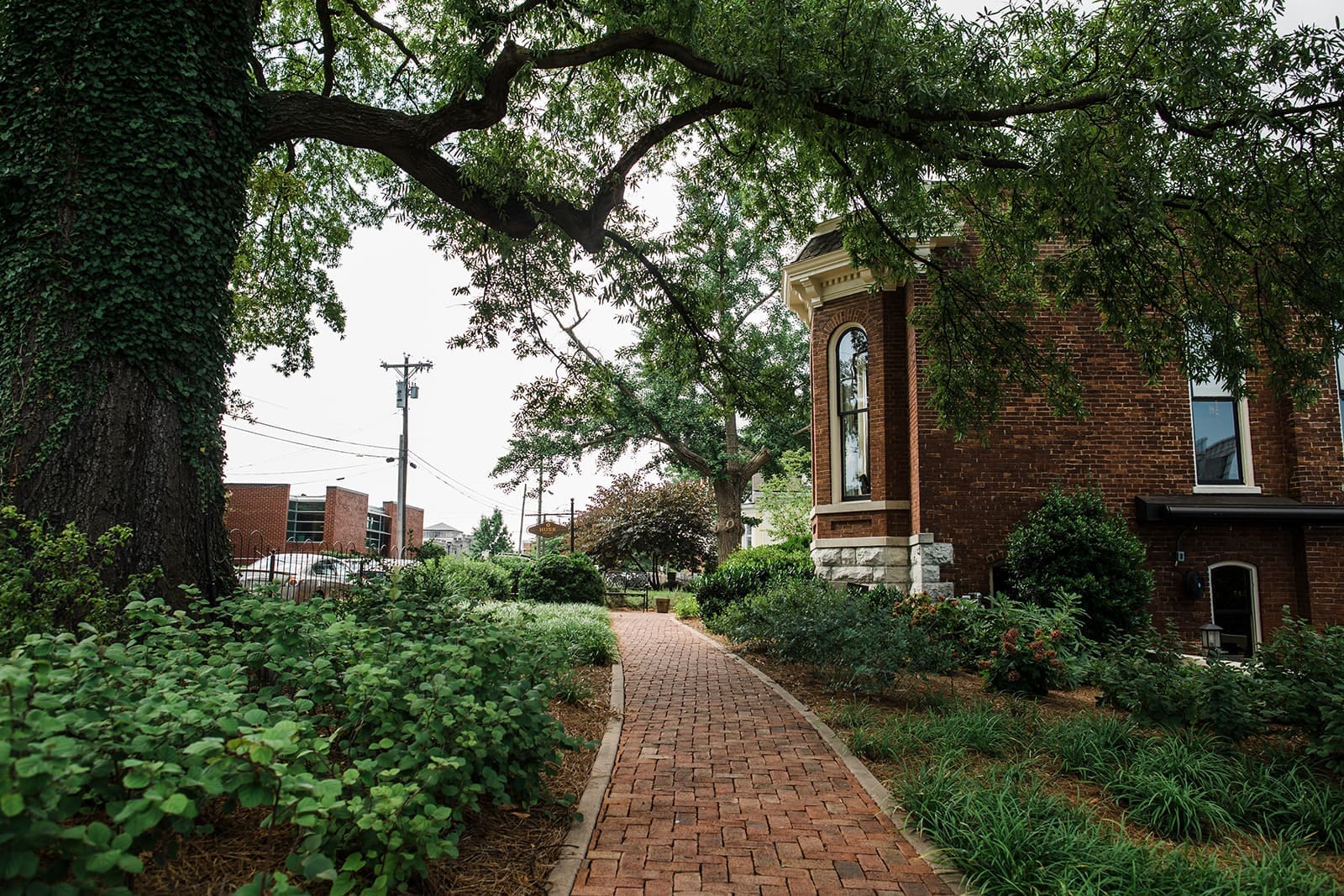 Perennials for Shady Spaces