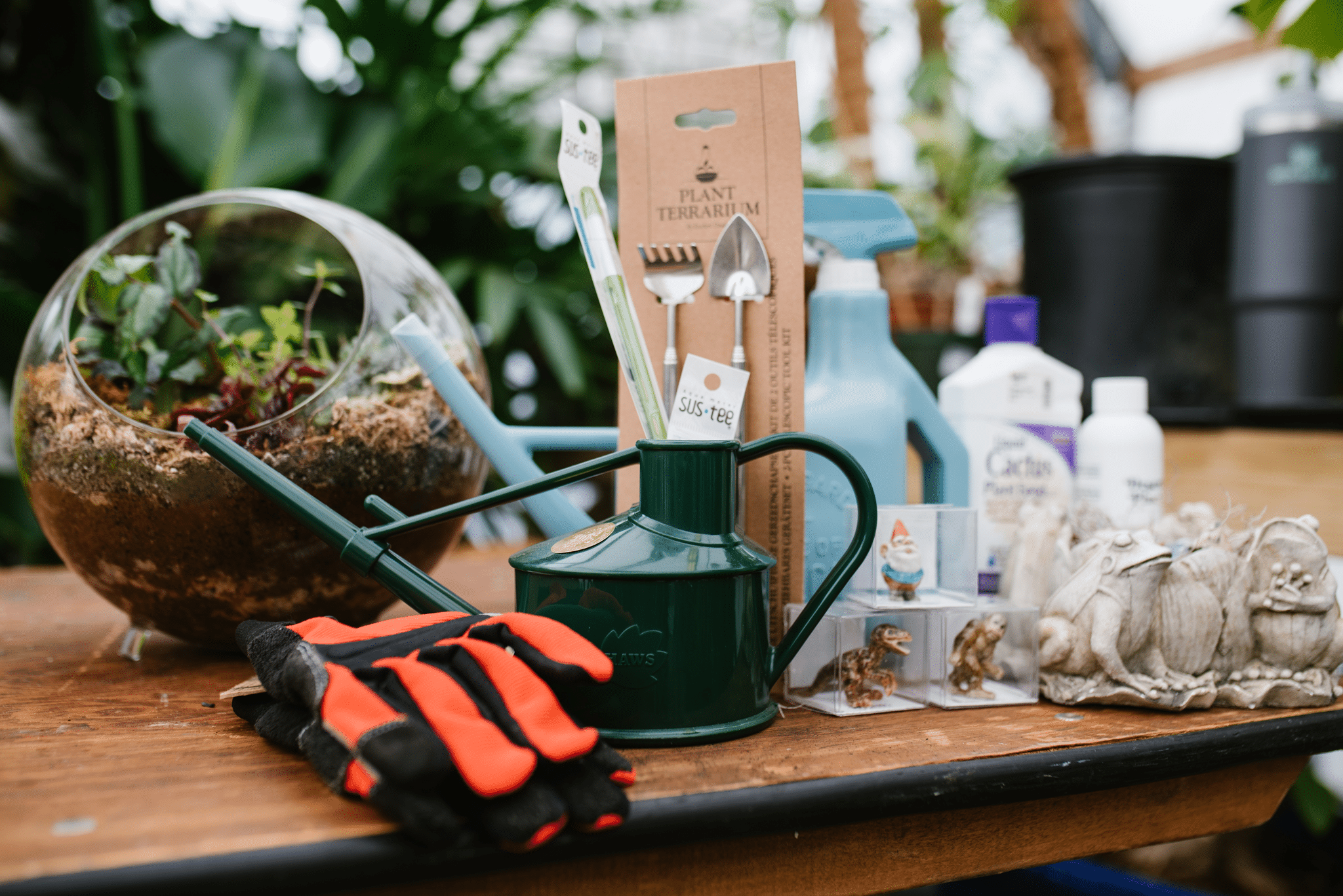 Gardens of Babylon Terrarium Supplies Gardens of Babylon Terrarium Supplies