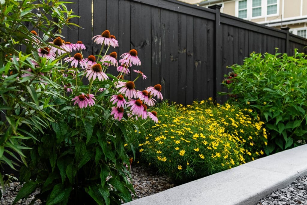 spring color for your doorstep