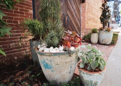 spring color for your doorstep