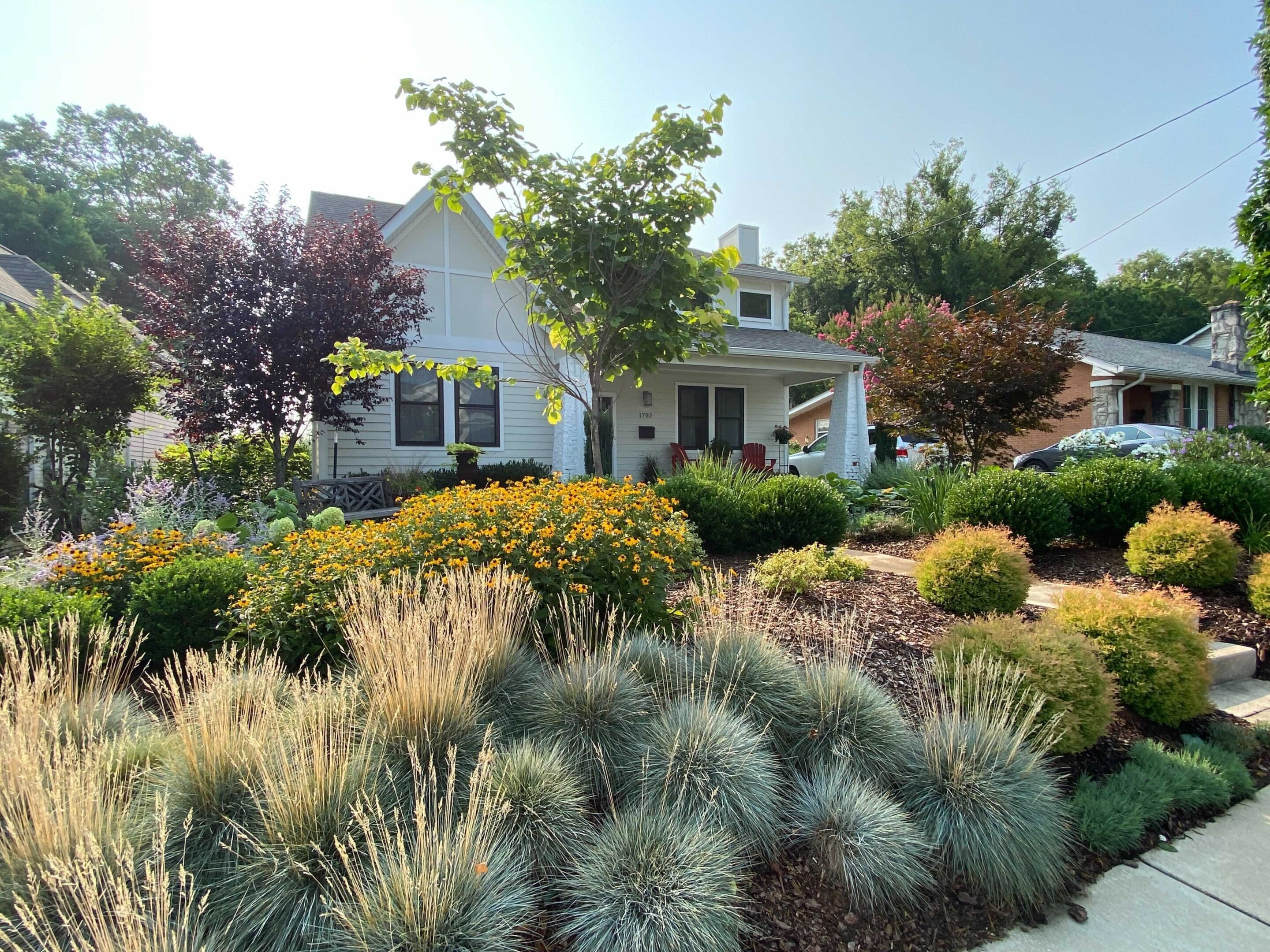 Copy of Image from iOS (23)