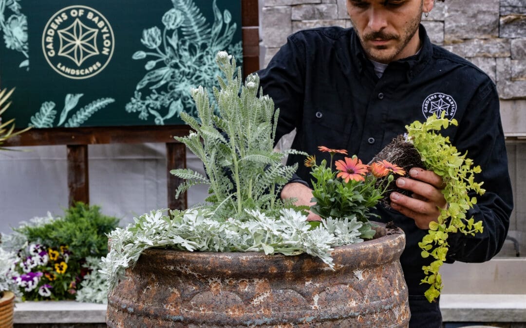 Porch Color: Plants, Pots, and Process