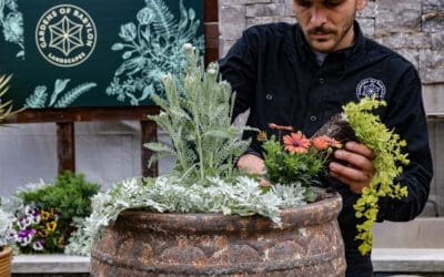 Porch Color: Plants, Pots, and Process