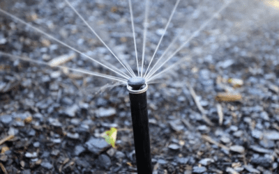 Irrigation: Go for Green this Summer!