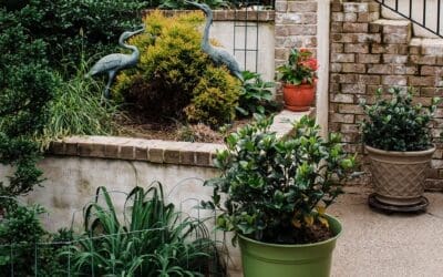 Creating an Outdoor Sanctuary in a Small Space