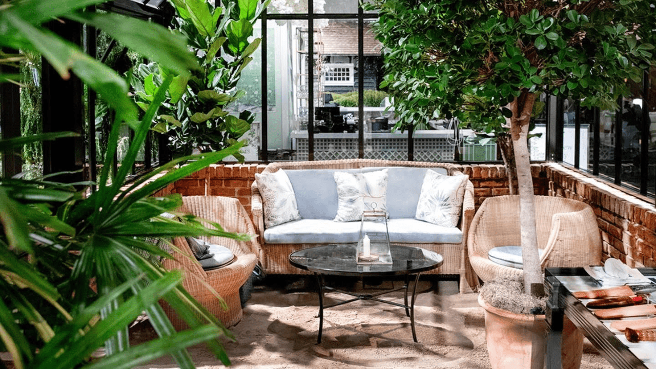 Sprinkler watering the plants