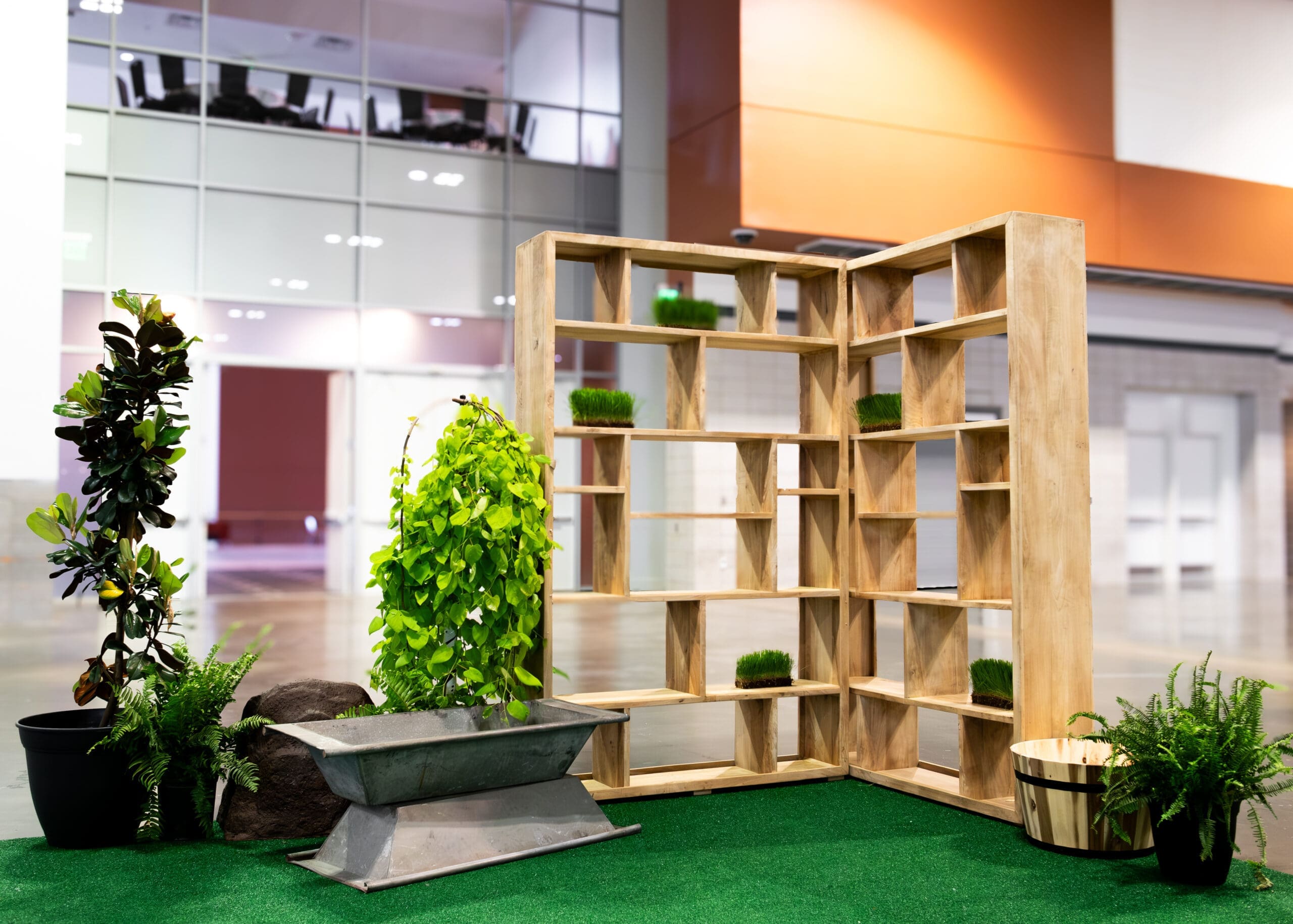 Sprinkler watering the grass